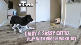 Dis Heckin Catto Aint Touching My Wiggle worm Fren