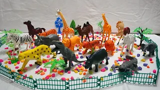 Wild Zoo animal Farm animal - Camel Horse Dinosaur Zebra Elephant Lion Girrafe Tiger Monkey Cat Dog