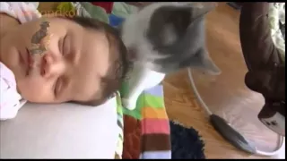 Cute Cats Love Babies! Compilation 2015! Кошки и Дети – Лучшие Друзья!