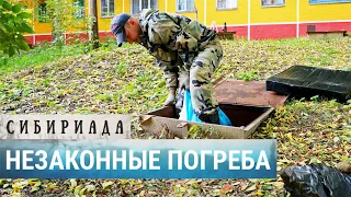 Картофельный газ и провалившиеся погреба | СИБИРИАДА