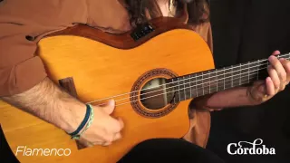 Cordoba Guitars - C5-CE Nylon String Guitar