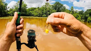 4 Hours of RAW and UNCUT Kayak Carp Fishing on the Tennessee River