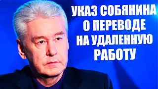 Указ мэра Собянина о переводе на удаленную работу не менее 30% сотрудников.