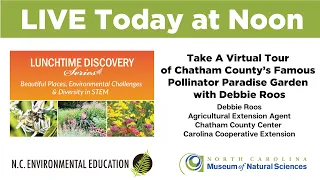 Lunchtime Discovery Series: Chatham County’s Famous Pollinator Paradise