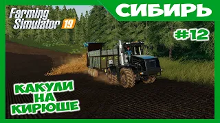 Внесение навоза в проблемное поле на Кировце К5 // Сибирь ч.12 // Farming simulator 19