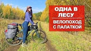 ОДИНОЧНЫЙ ВЕЛОПОХОД | НОЧУЮ В ПАЛАТКЕ | ЗВЕРЬ РЯДОМ