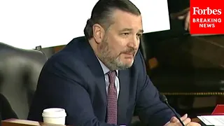 Cruz Asks Asst. FBI Director: 'How Many FBI Agents Were Confidential Informants' During Jan. 6 Riot?