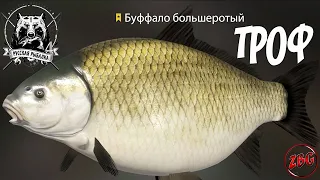 БУФФАЛО БОЛЬШЕРОТЫЙ ТРОФЕЙНЫЙ - р. АХТУБА - РУССКАЯ РЫБАЛКА 4 | Russian Fishing 4