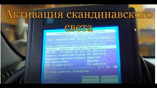 Активация скандинавского света