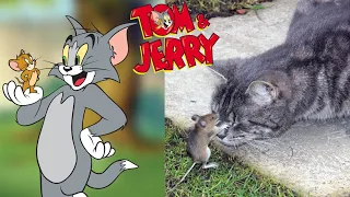 Tom and Jerry Characters in Real Life 2021