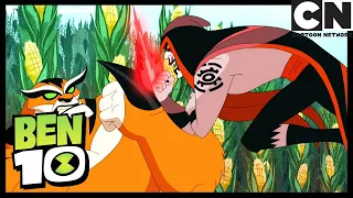 Ben 10 vs Hex Compilation | Ben 10 | Cartoon Network