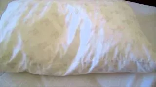 Review followup: mypillow Pillow video