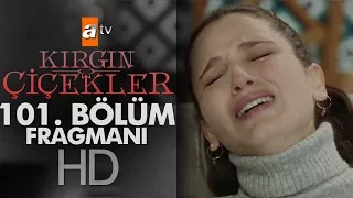 Kırgın Çiçekler 101. Bölüm Fragmanı