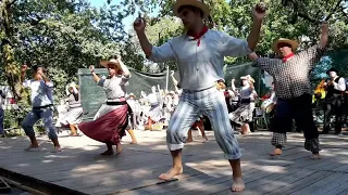 Chula de Barqueiros - Rancho Folclórico e Etnográfico A Telheira