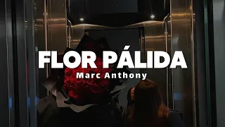 Marc Anthony - Flor Pálida | Letra