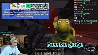 xQc dono asking him to free the turtle