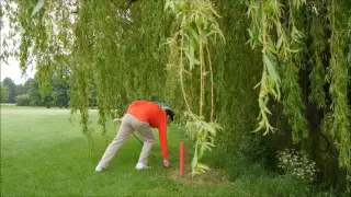 Golf Rules - How to take relief from a lateral water hazard (red stake)
