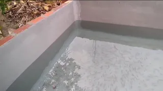 impermeabilizante caseiro para parede com infiltração, lages,piscina tanque de peixe