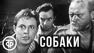 Собаки. Телеспектакль по произведению Тоне Брулина (1963)