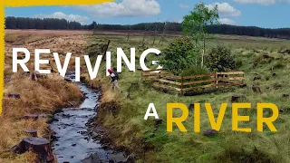 Our Strange Plan to Fully Rewild This River