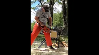 This 50cc Chainsaw Operator Will Shock You #shorts