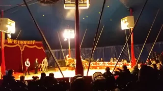 Zirkus Weisheit🐪🐫🐴🎉🎊