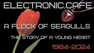 FLOCK OF SEAGULLS: THE STORY OF A YOUNG HEART - Album Review 40 Years #80ssynth #1984