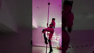 Christmas dance exotic pole toshakatyasha