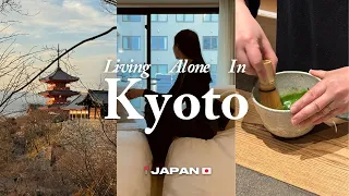Kyoto JAPAN Vlog | solo trip, cute cafes, affordable hotel, best bar, nishiki market, kiyomizu-dera