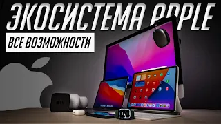 70+ фишек экосистемы Apple. Все о совместной работе iPhone, iPad, Apple Watch, Mac, Apple TV и т.д.