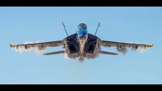 Awesome F-18 Rhino High Speed Pass Ft. Lauderdale Beach !