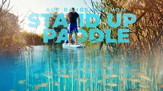 ANGELN vom STAND UP PADDLE - Auf Hecht und Barsch