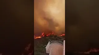 АЛЖИР. тушение масштабных пожаров .Лес горит как порох.
