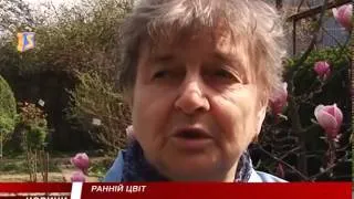 Цвітіння  у розпалі. Весна у  ботанічному саду