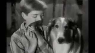 Lassie S02E03 - The Kittens (1955)