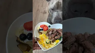 🥩🍳🥞❤️ Cooking For My Dog ASMR #shorts #viral