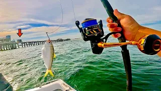 I Tossed a LIVE SARDINE! along this Damaged GULF PIER and Caught THIS!