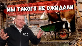 Подарки от подписчика. Нам вернули деньги. Как отучить быка лягаться. Жизнь в деревне.