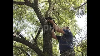 Спасатели эвакуировали котов с затопленного острова у Хабаровска. MestoproTV