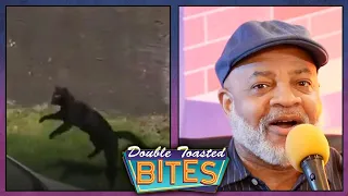 MARTIN'S REACTION TO THE CHICAGO CAT JUMPING FROM A BUILDING | Double Toasted Bites