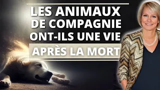 L' Âme Des Animaux De Compagnie : Une Vie Après La Mort !