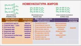 № 115. Органическая химия. Тема 20. Жиры. Часть 3. Номенклатура и классификация жиров