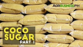 Coco Sugar Part 1 : High Value Product Coco Sugar | Agribusiness Philippines