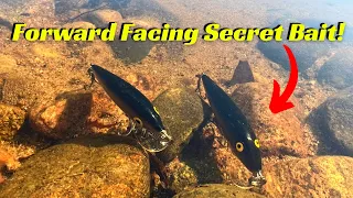 The Best Bait Ever For Forward Facing Sonar Like Active Target & Livescope! It’s A Pro's Secret!