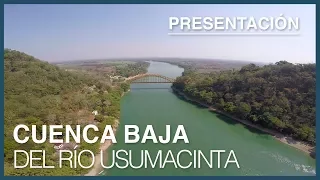 Cuenca Baja del Usumacinta