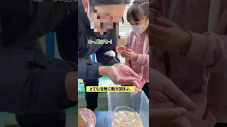 【無料の動物園】の野毛山動物園に行ってきたよ😉✨。ふれあい体験もして楽しんだよ🫶🏻✨。 #野毛山動物園