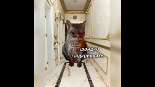 POV: поїздка на змагання 3 частина