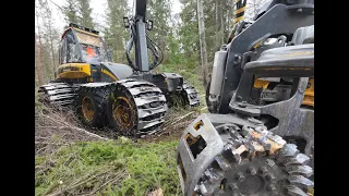 Kevätrospuutolla märässä notkossa rinteen alla, märkää on. Teknisiä ongelmia äänissä...