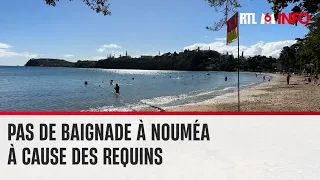 Nouvelle-Calédonie : les plages de Nouméa fermées à cause des requins