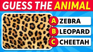 Can You Guess the Animal by Their Unique Textures? 🦁🔍 Guess the Animal Quiz 🐾✅